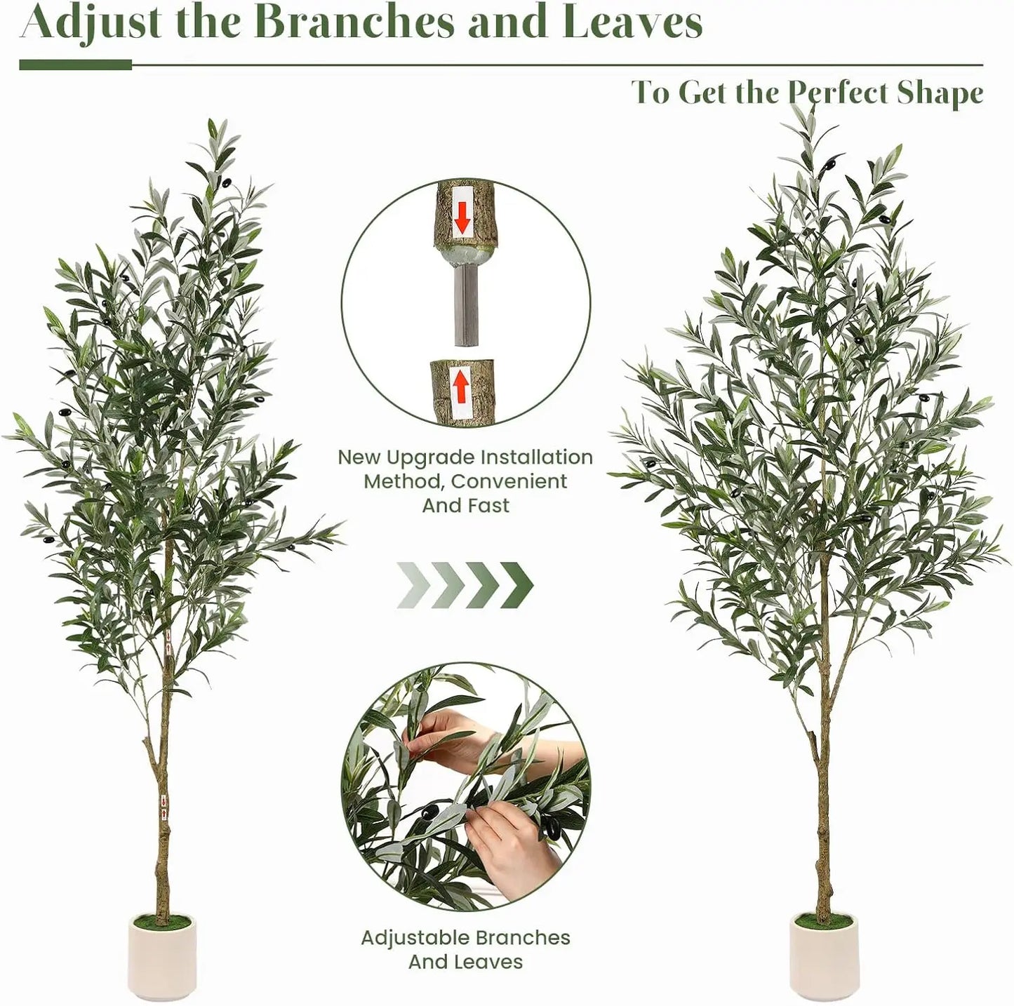 6 Ft Olive Tree with Lifelike Fruit