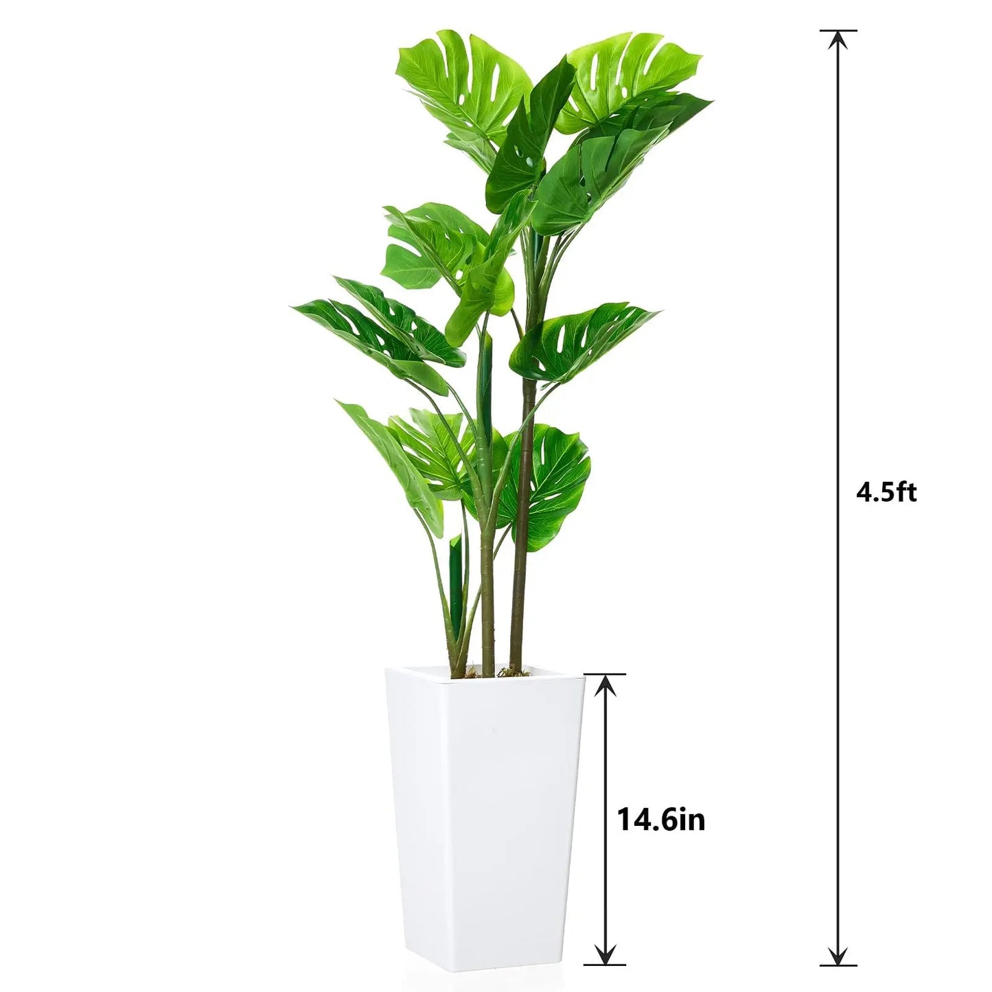 Monstera Plant with Tall White Planter