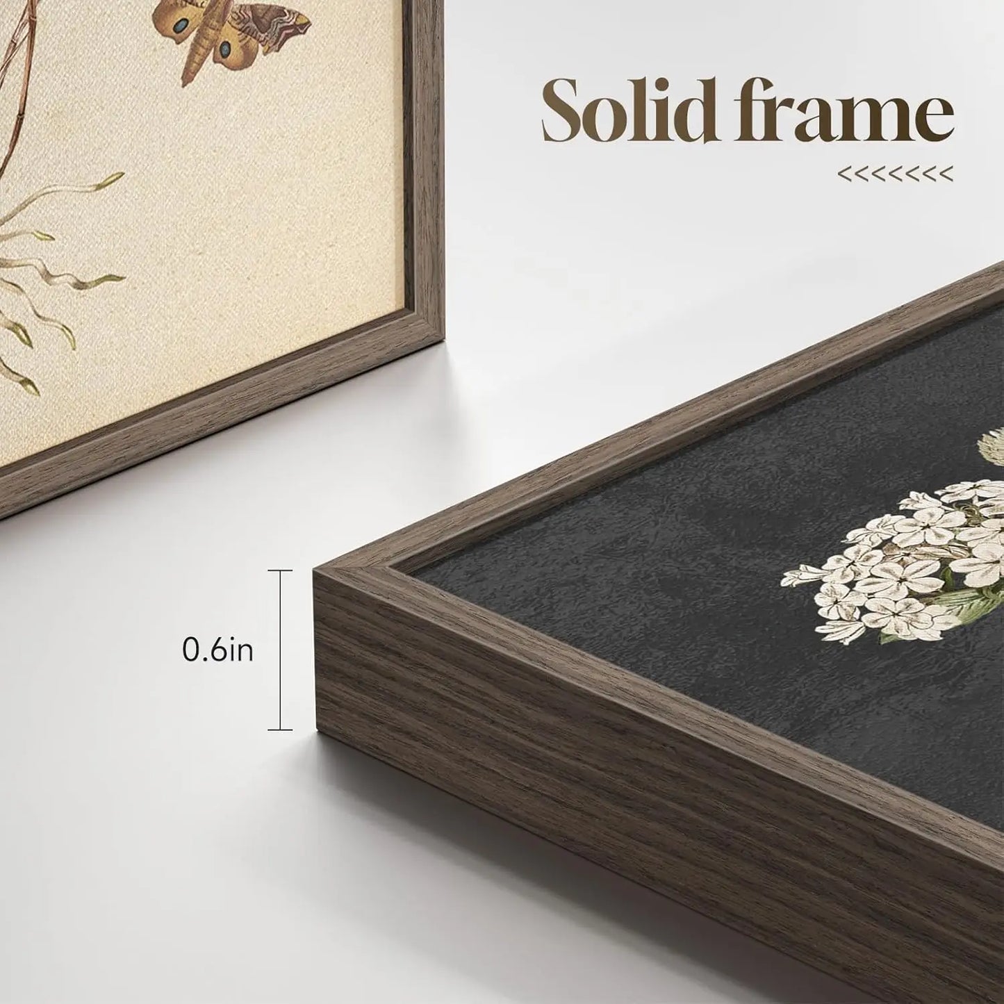 Framed Botanical Wall Art