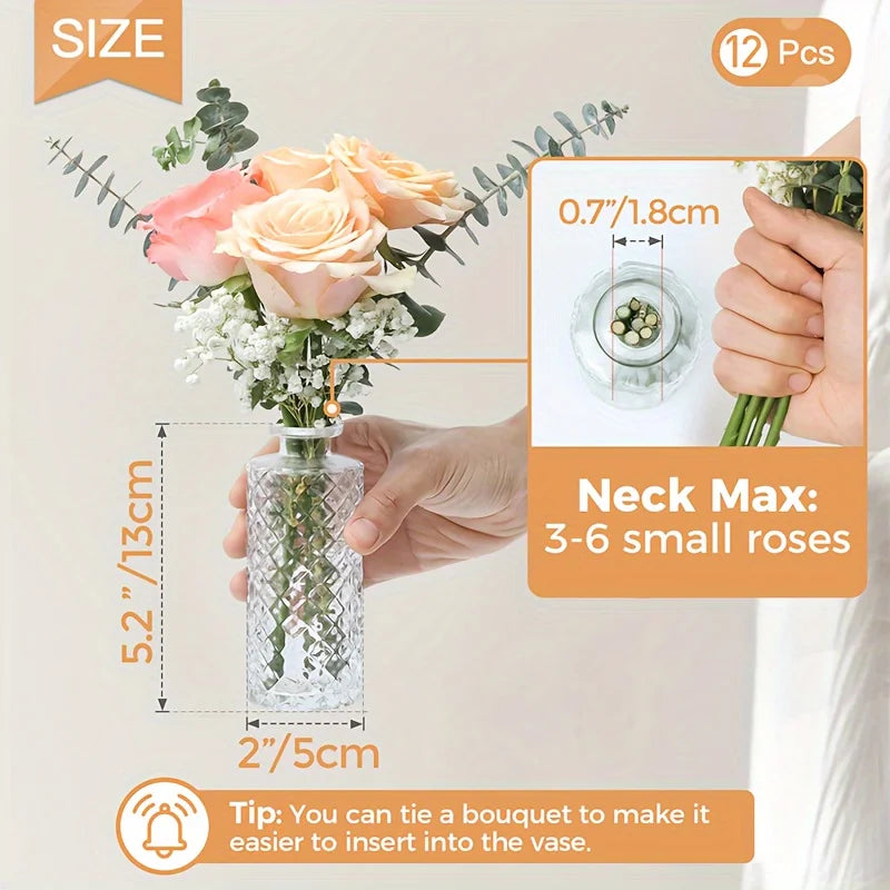 Glass Bud Vases Set Of 12