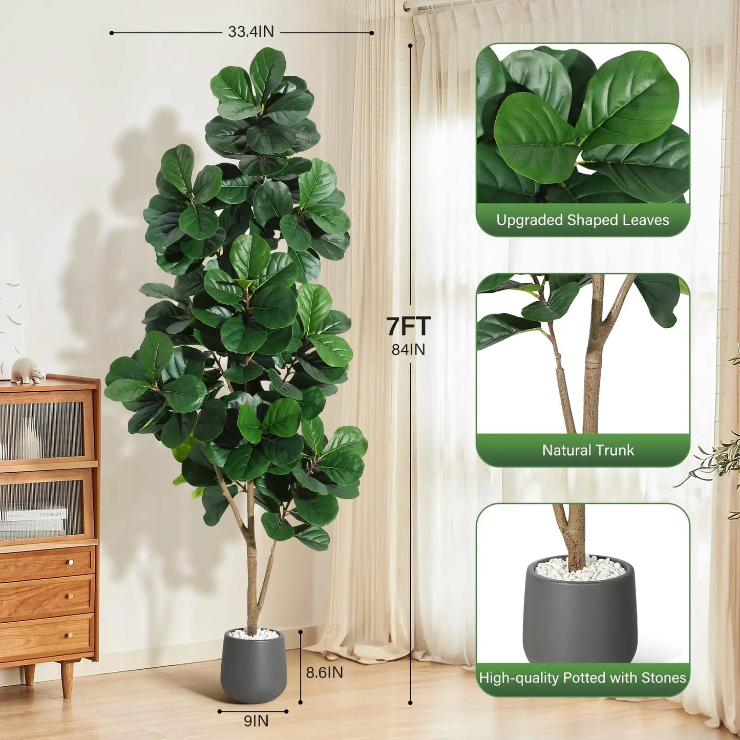 Fiddle Leaf Fig Tree