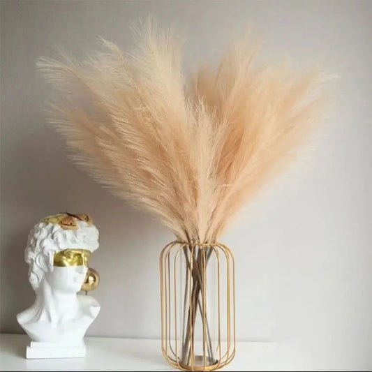 Artificial Pompous Grass