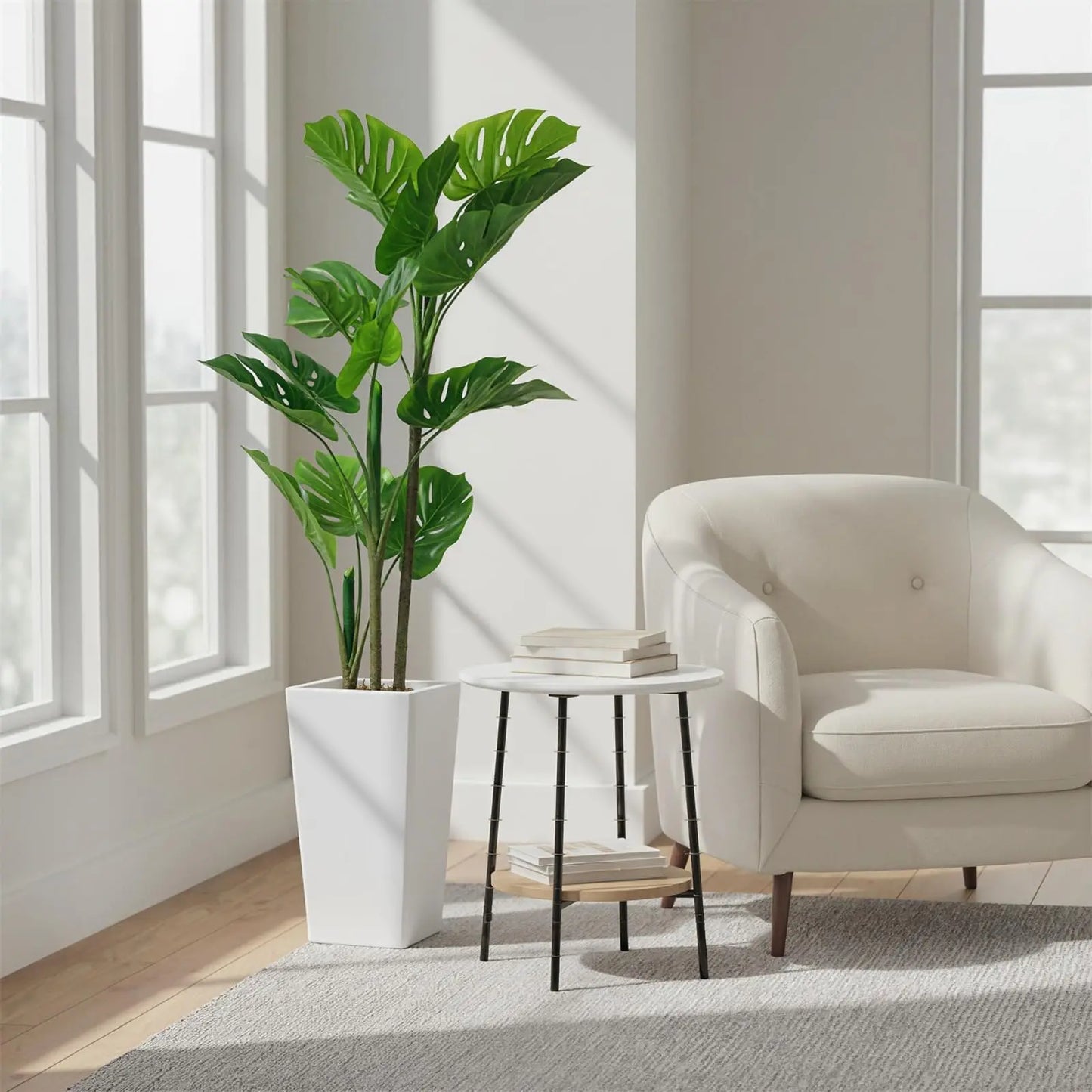Monstera Plant with Tall White Planter