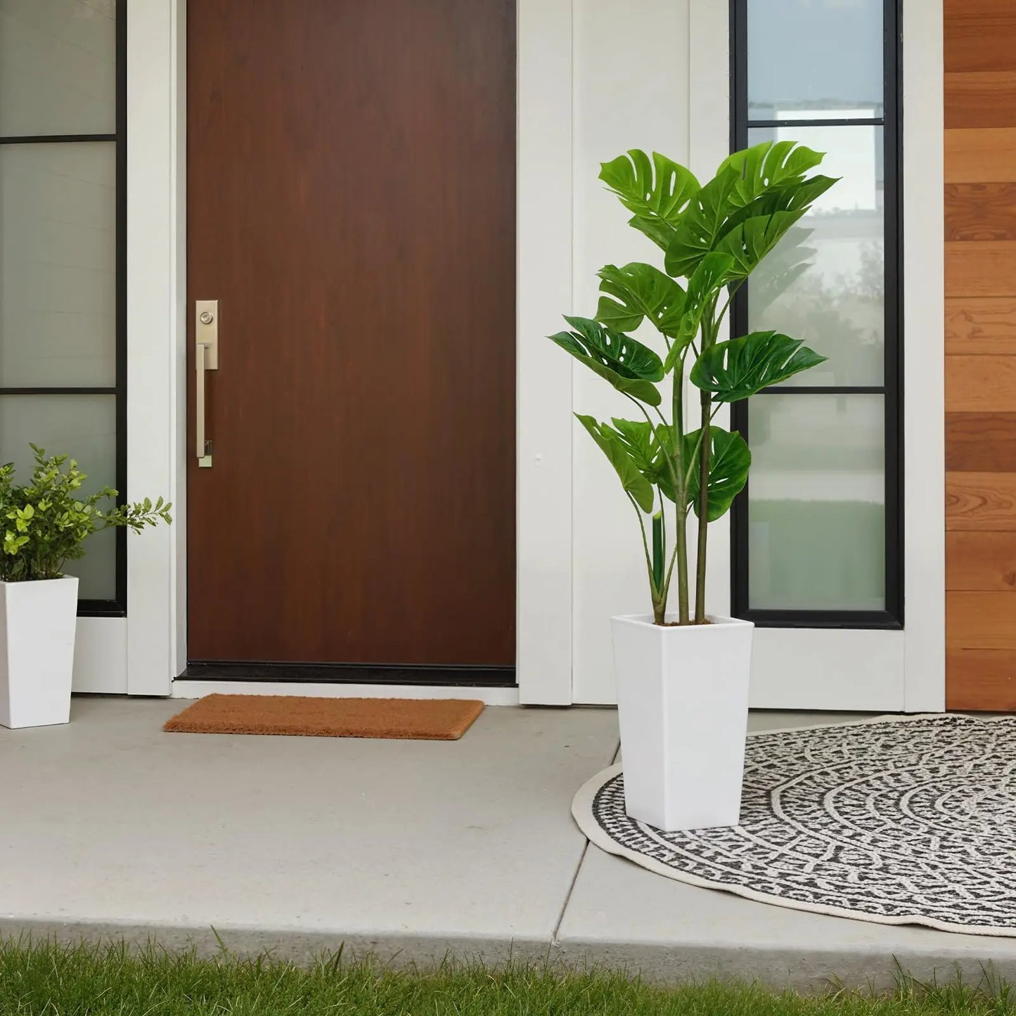 Monstera Plant with Tall White Planter