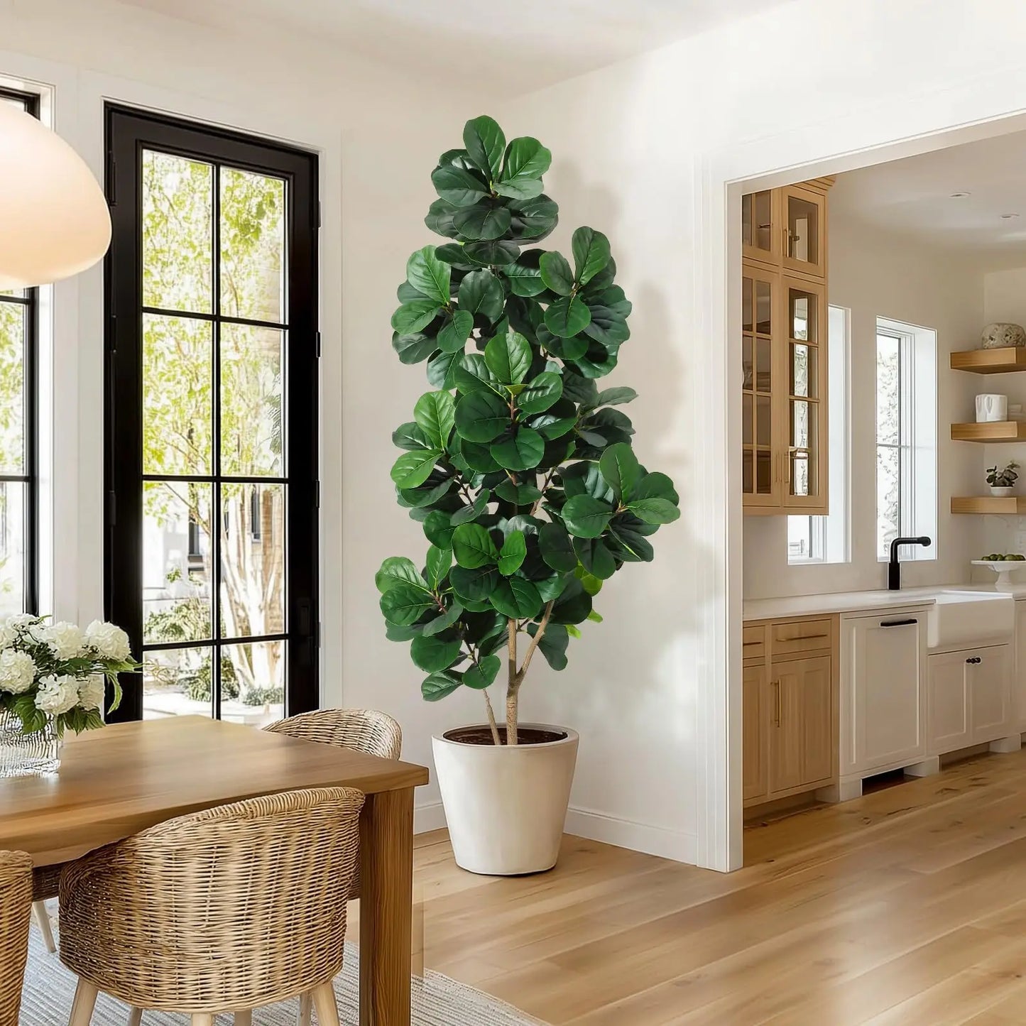 Fiddle Leaf Fig Tree