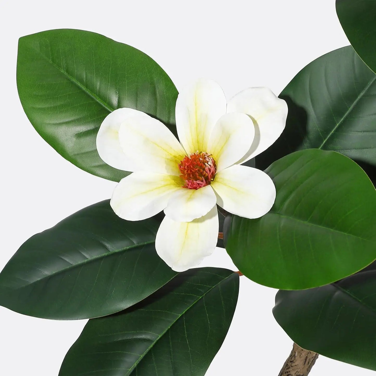 Artificial Rubber Tree with Magnolia Flowers