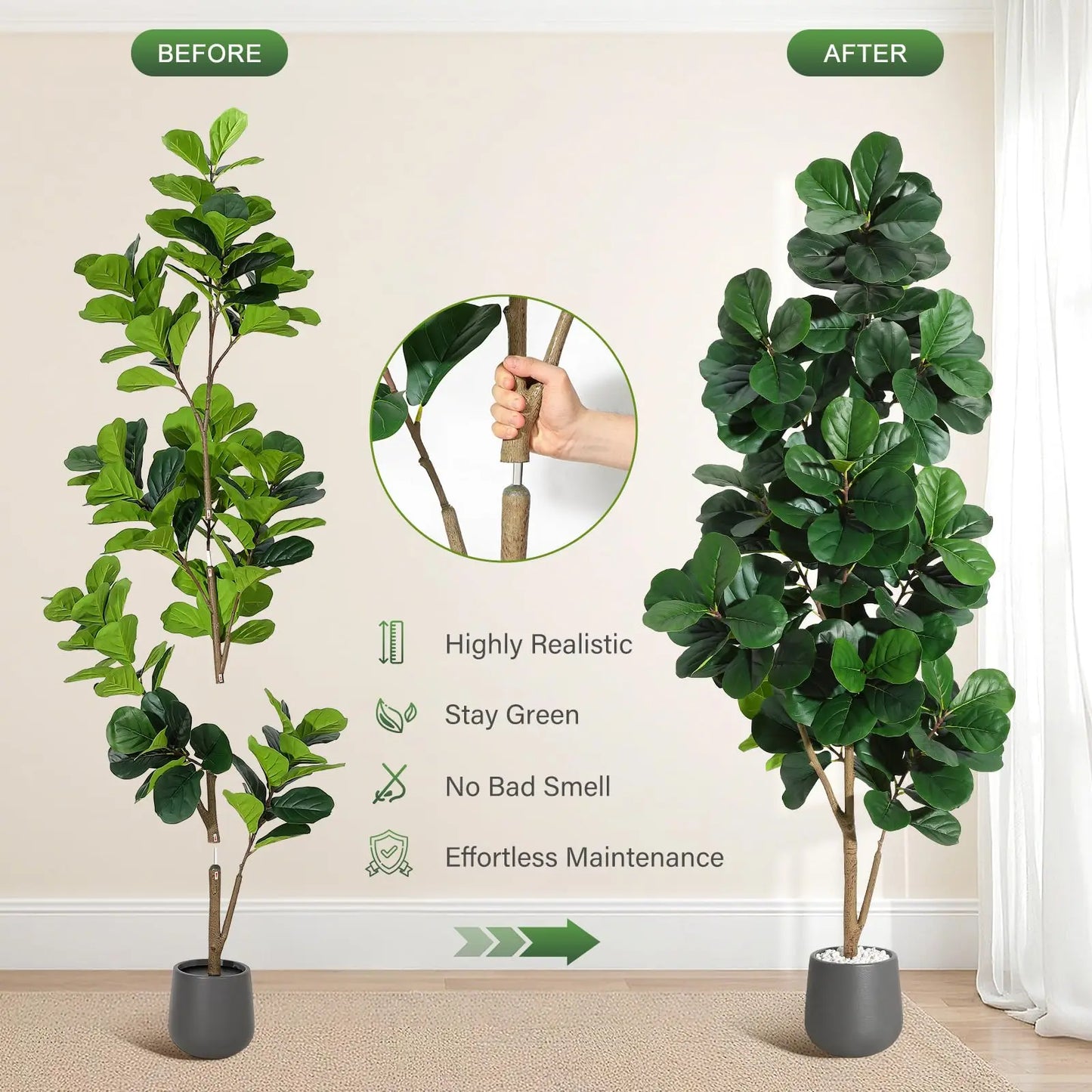Fiddle Leaf Fig Tree