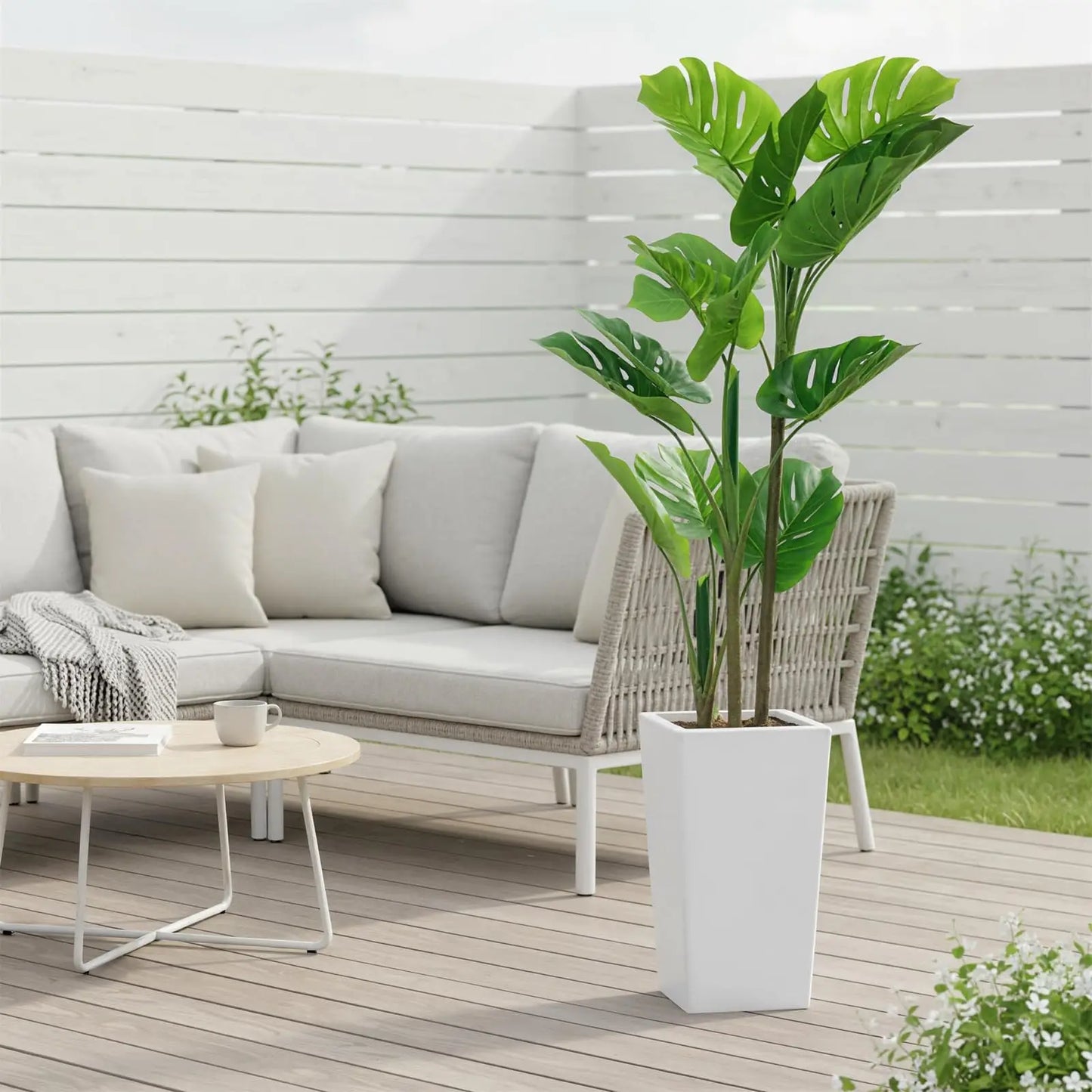 Monstera Plant with Tall White Planter