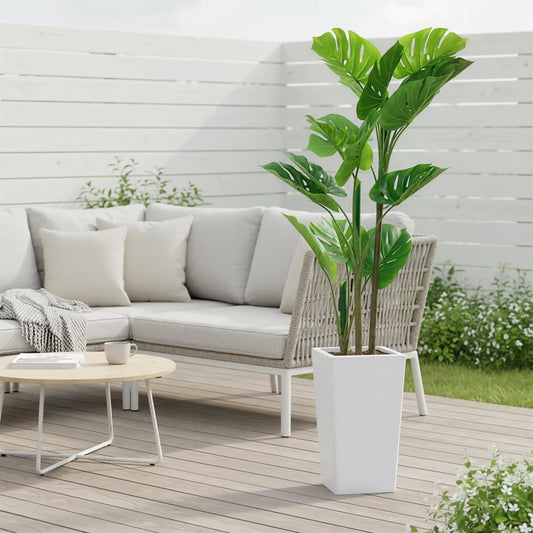 Monstera Plant with Tall White Planter
