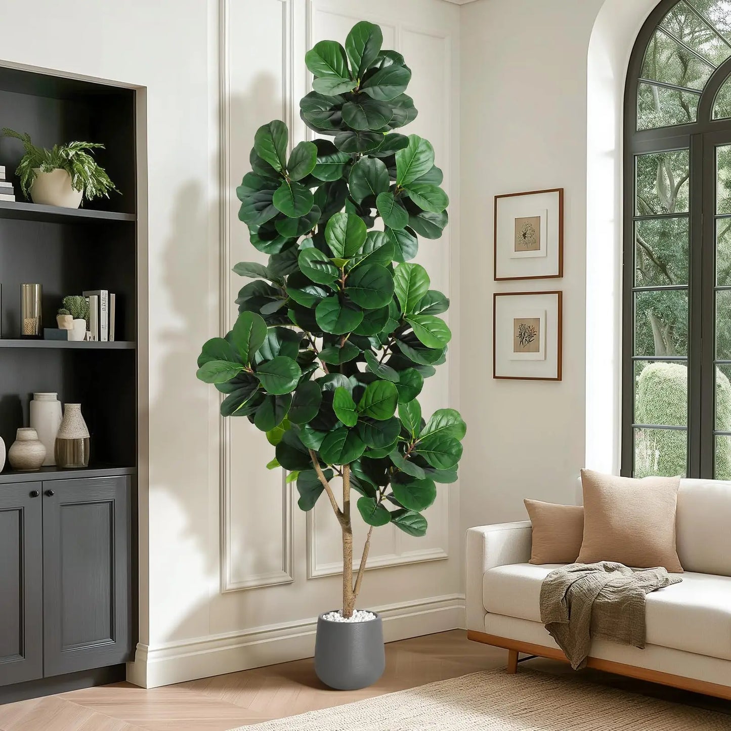 Fiddle Leaf Fig Tree
