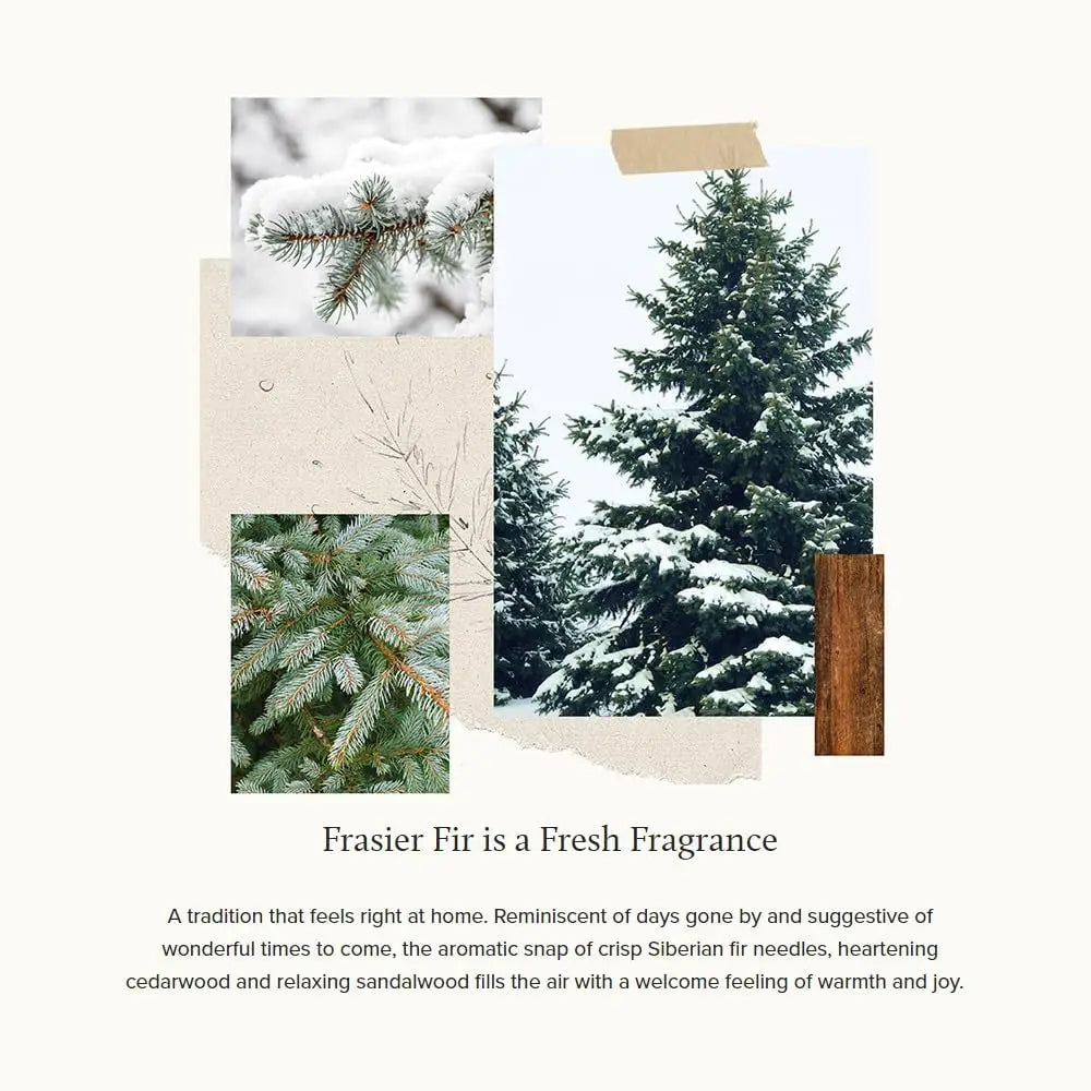 Frasier Fir Scented Candle