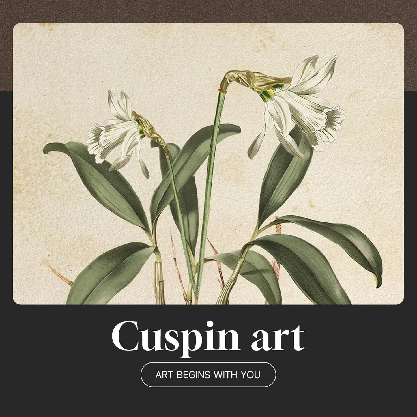 Framed Botanical Wall Art