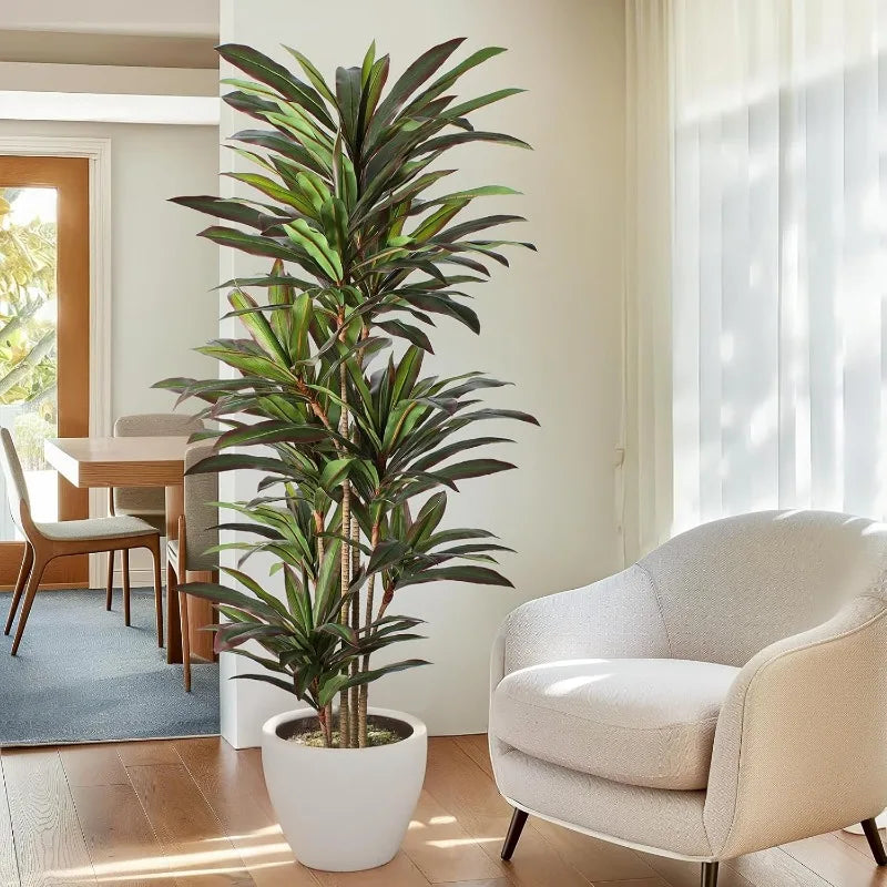 Dracaena Artificial Silk Tree 6ft